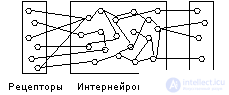 Нейронные сети. Модель 1 (Ходжкина-Хаксли). Модель 2. Модель 3 (дискретный уровень).    Модель 4 (модель нейронной сети).