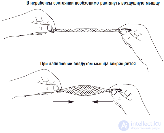 Кисть руки – андроида