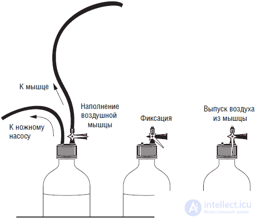 Кисть руки – андроида