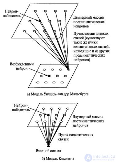 8. Сети самоорганизации