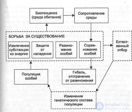 10. Эволюционные технологии и алгоритмы