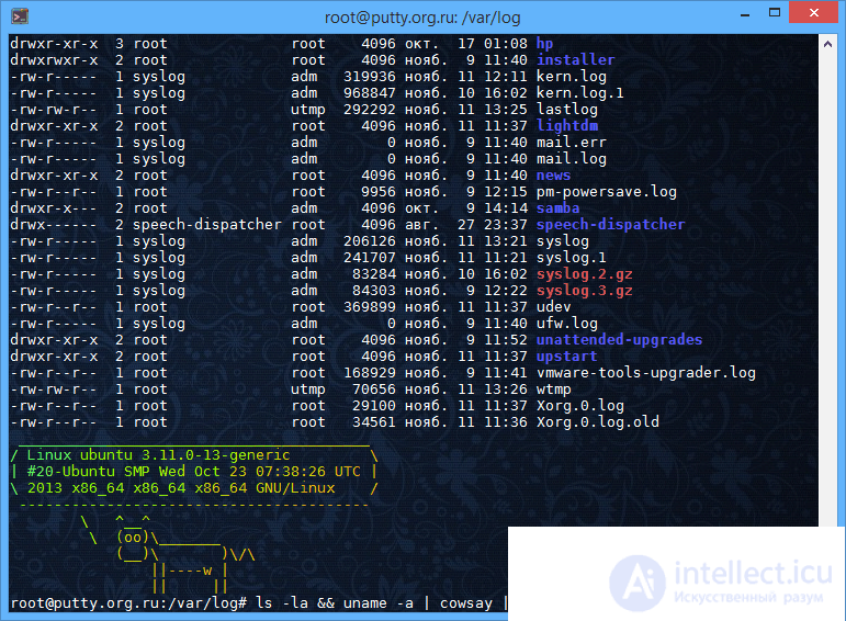 Виртуальный хостинг,  VPS, VDS и выделенный сервер (dedicated),colocation , назначение и отличия. Доступ к хостингу и выделенному серверу FTP и SSH клиенты, IP KVM