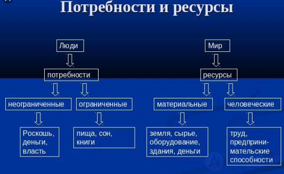 Экономика как наука