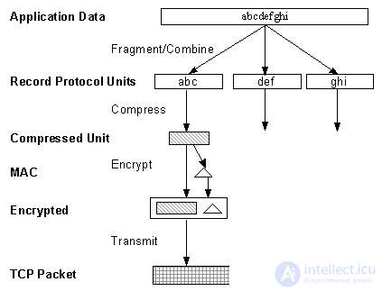 Криптографический протокол SSL, HTTPS