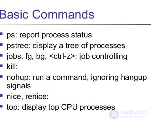 14 - Процессы, задачи. Команды fg, bg, jobs, top, nohup