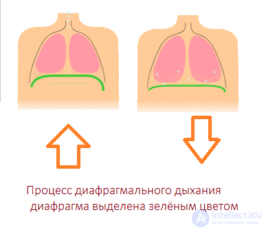 Посттравматическое стрессовое расстройство (ПТСР)