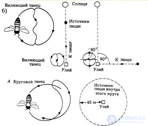 8. Общение как социально-психологическое явление, общение у животных