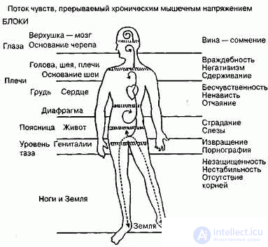 Реферат: Телесно-ориентированная терапия