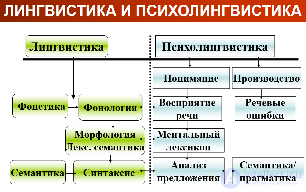 Лингвистика и мкк