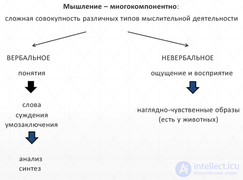 5. Характер отношений (взаимосвязь) языка и мышления