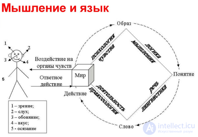 Способен ли язык влиять на мышление?