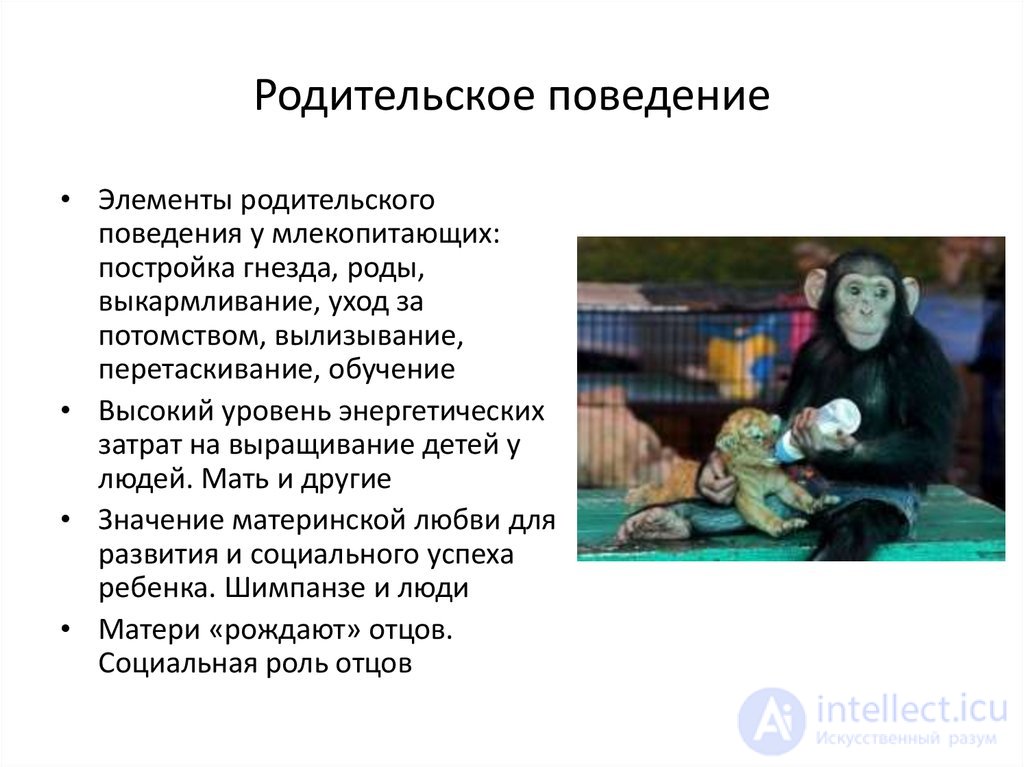 Ухаживание — поведение человека или животного, предшествующее спариванию.