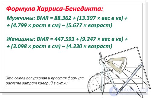 Как посчитать свой расход калорий: базовый и дополнительный