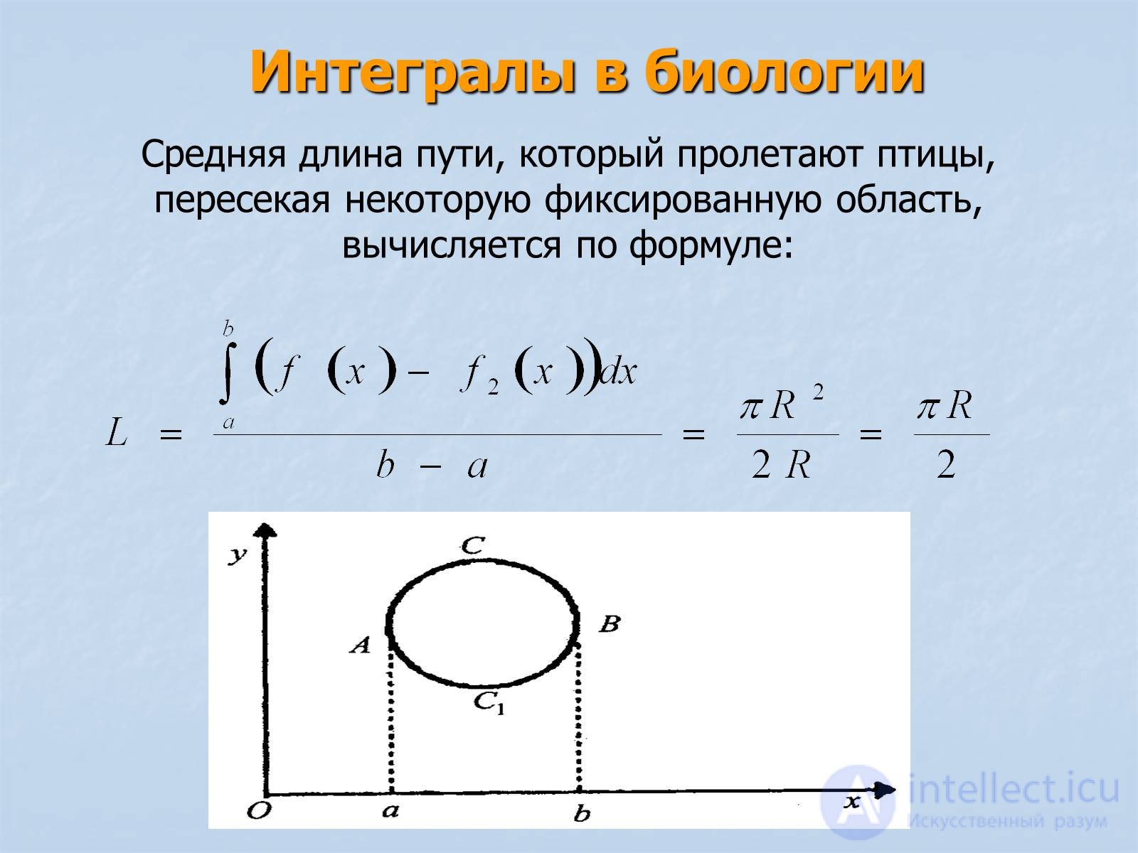 Интегралы. Историческая справка. Применение интегралов на практике примеры решения задач