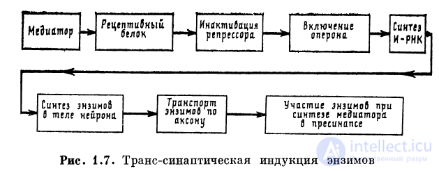 1.2. Процессы на мембране 