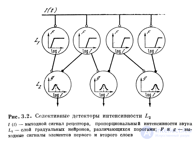 3.2. Организация моноурального анализатора