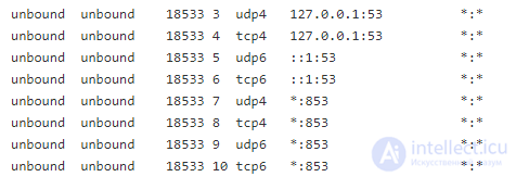 1.5. Принципы работы DNS,Домены. NS сервера . Система whois. Бесплатные домены