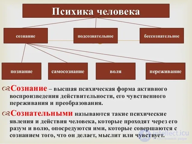 100 тестов с ответами и схемами - Основы общей психологии