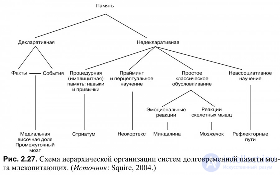 100 тестов с ответами и схемами - Основы общей психологии