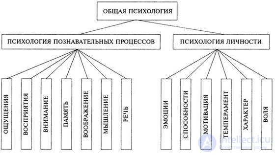 100 тестов с ответами и схемами - Основы общей психологии