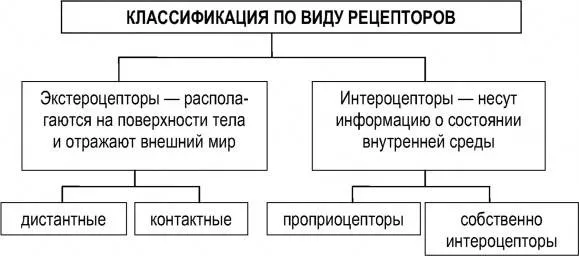 100 тестов с ответами и схемами - Основы общей психологии