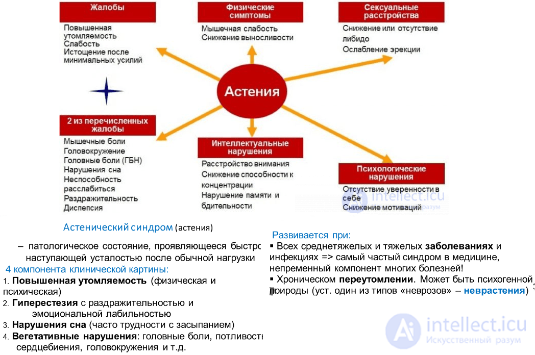 100 тестов с ответами и схемами - Основы общей психологии