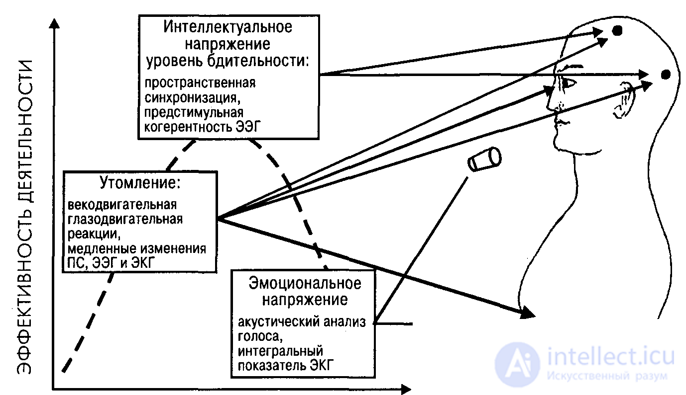 Психология дорожного движения и транспорта,причины ДТП