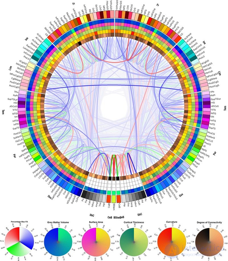 Коннектограм -  графическая репрезентация коннектомики