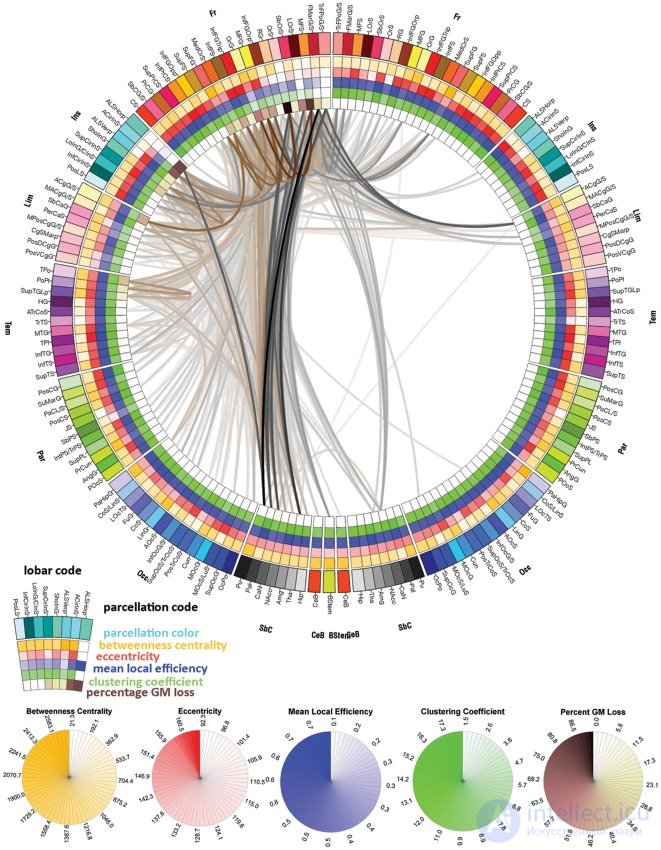 Коннектограм -  графическая репрезентация коннектомики