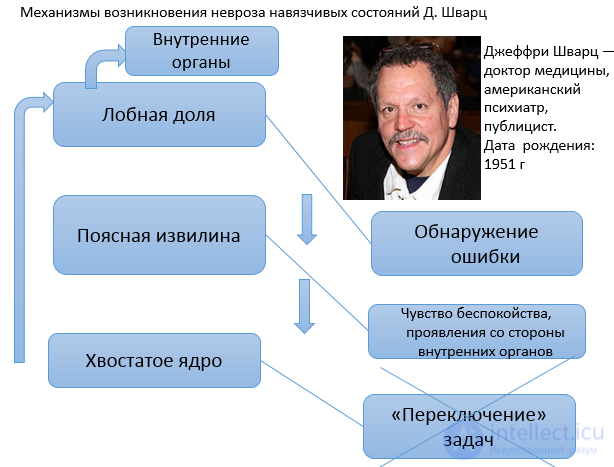 Невроз навязчивых состояний - признаки, механизмы, лечение