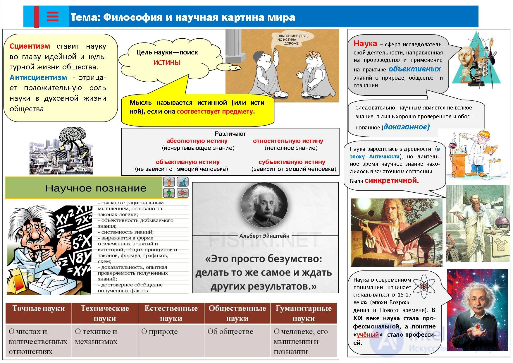 Философия и научная картина. Философия инфографика. Инфографики по философии. История философии в инфографике. Научная картина мира схема.