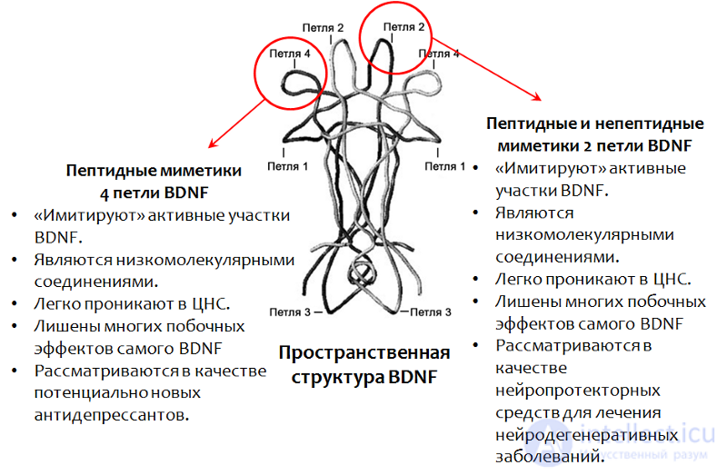 Депрессия. Причины, диагностика ,профилактика и  лечение, Депрессии в неврологии и нейрохирургии , в период беременности, родов и в климаксе.