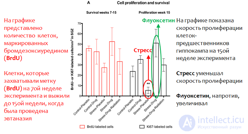 Депрессия. Причины, диагностика ,профилактика и  лечение, Депрессии в неврологии и нейрохирургии , в период беременности, родов и в климаксе.