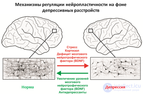 Депрессия. Причины, диагностика ,профилактика и  лечение, Депрессии в неврологии и нейрохирургии , в период беременности, родов и в климаксе.