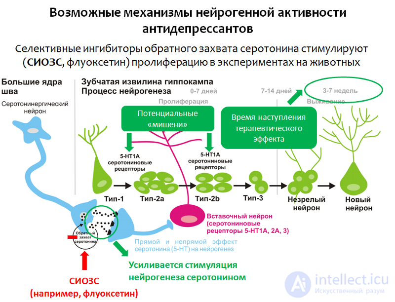 Депрессия. Причины, диагностика ,профилактика и  лечение, Депрессии в неврологии и нейрохирургии , в период беременности, родов и в климаксе.