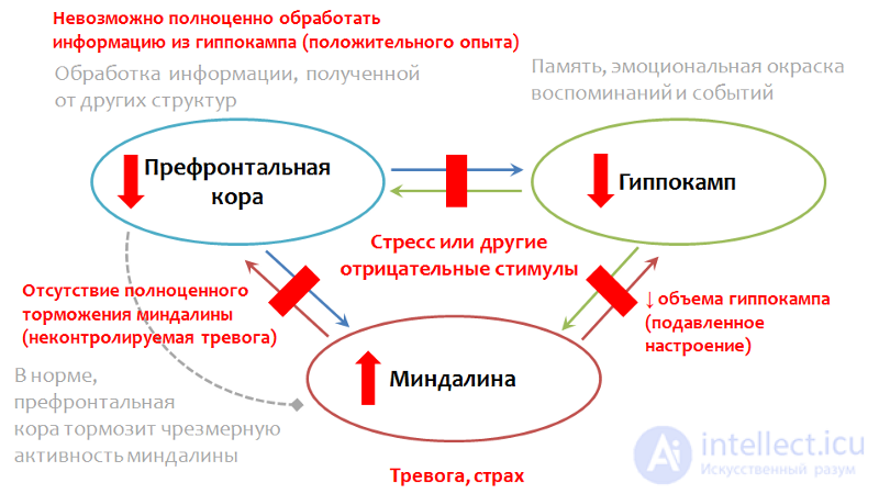 Депрессия. Причины, диагностика ,профилактика и  лечение, Депрессии в неврологии и нейрохирургии , в период беременности, родов и в климаксе.