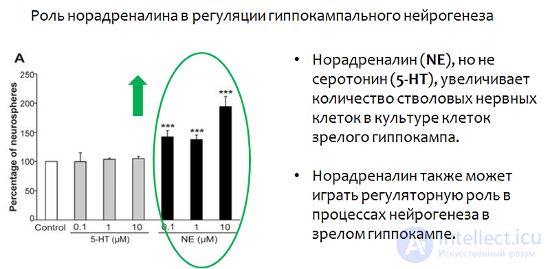 Депрессия. Причины, диагностика ,профилактика и  лечение, Депрессии в неврологии и нейрохирургии , в период беременности, родов и в климаксе.