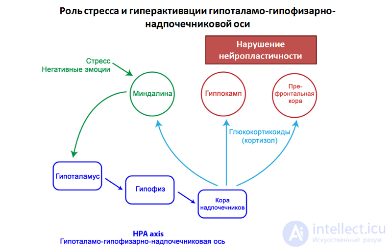 Депрессия. Причины, диагностика ,профилактика и  лечение, Депрессии в неврологии и нейрохирургии , в период беременности, родов и в климаксе.