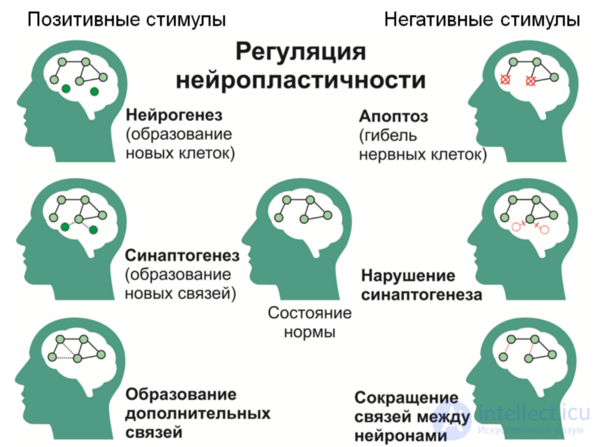 Депрессия. Причины, диагностика ,профилактика и  лечение, Депрессии в неврологии и нейрохирургии , в период беременности, родов и в климаксе.