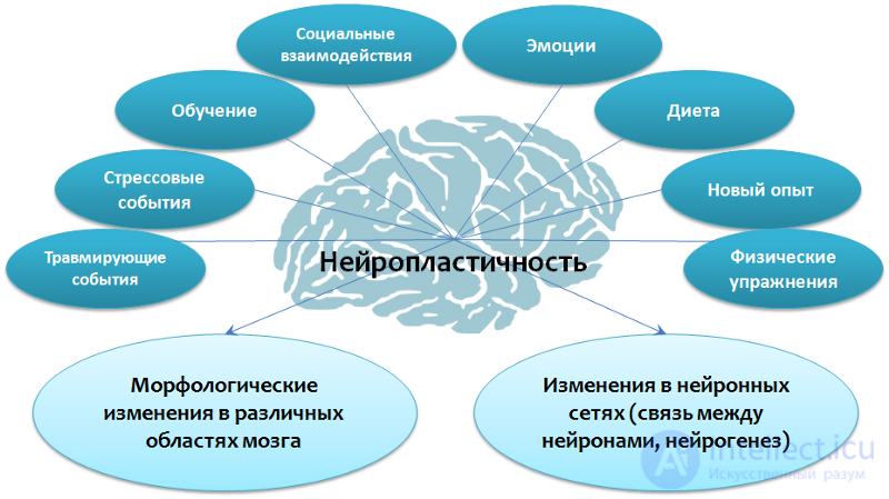 Депрессия. Причины, диагностика ,профилактика и  лечение, Депрессии в неврологии и нейрохирургии , в период беременности, родов и в климаксе.