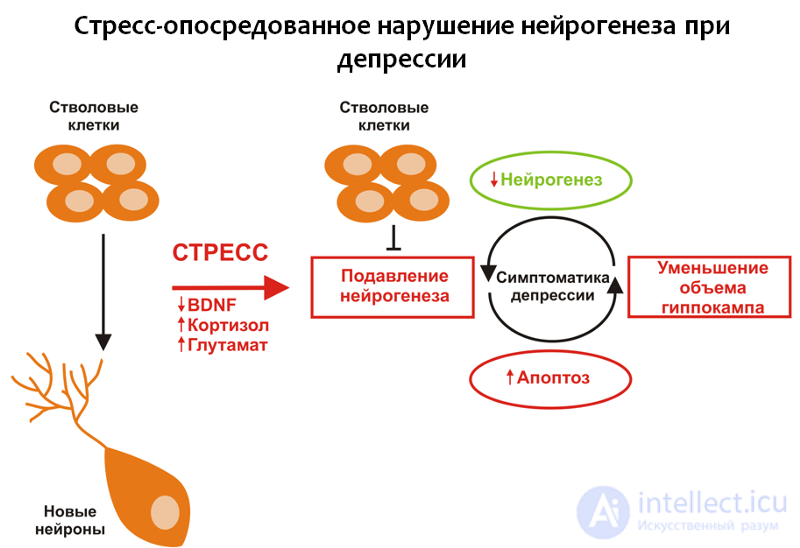 Депрессия. Причины, диагностика ,профилактика и  лечение, Депрессии в неврологии и нейрохирургии , в период беременности, родов и в климаксе.