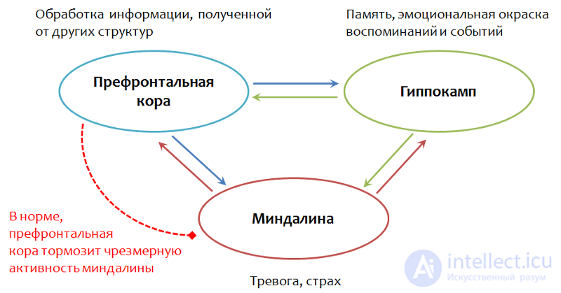 Депрессия. Причины, диагностика ,профилактика и  лечение, Депрессии в неврологии и нейрохирургии , в период беременности, родов и в климаксе.