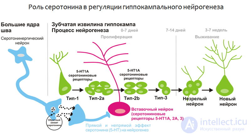 Депрессия. Причины, диагностика ,профилактика и  лечение, Депрессии в неврологии и нейрохирургии , в период беременности, родов и в климаксе.