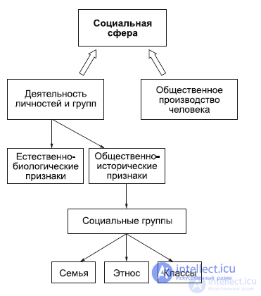 7. СОЦИАЛЬНАЯ СФЕРА - общество, классы