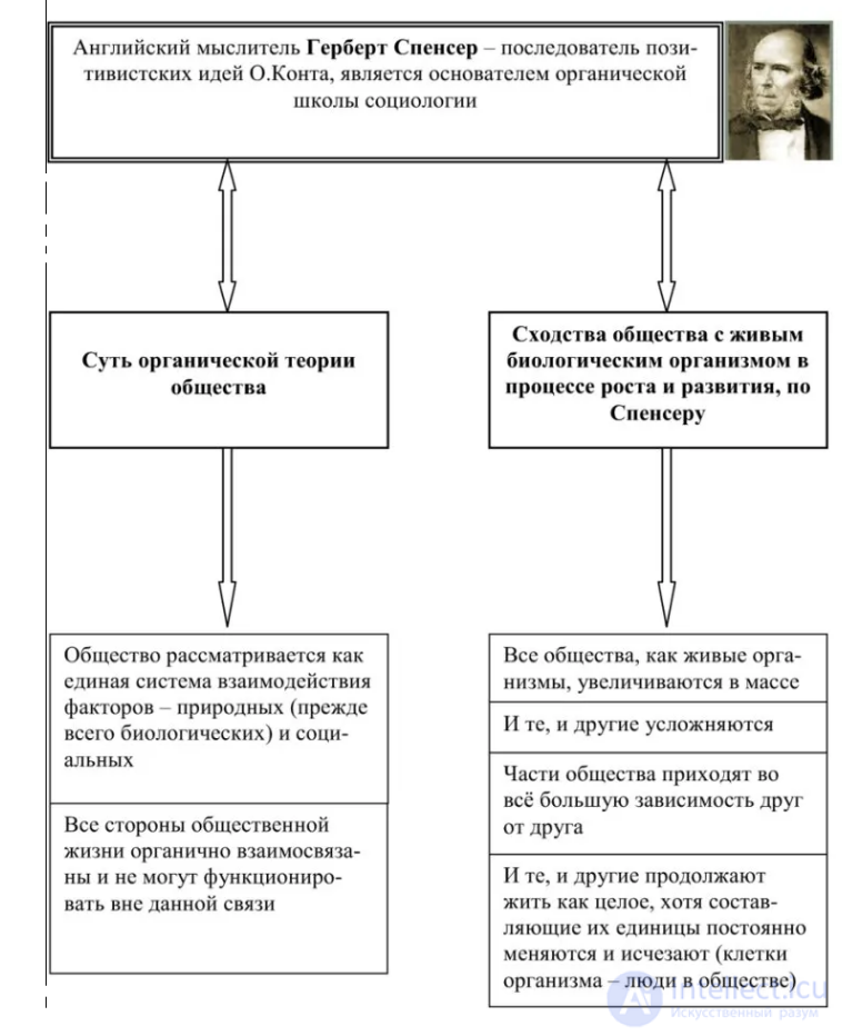 СОЦИОЛОГИЯ ГЕРБЕРТА СПЕНСЕРА