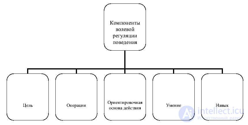 Эмоционально-волевая сфера личности и переживания