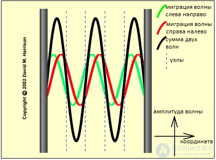 2. Волновые процессы    и      Элементы теории музыки