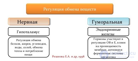 Диета и Метаболизм-  катаболизм и анаболизм  в организме, обмен белков, жиров и углеводов их классификация и функции.