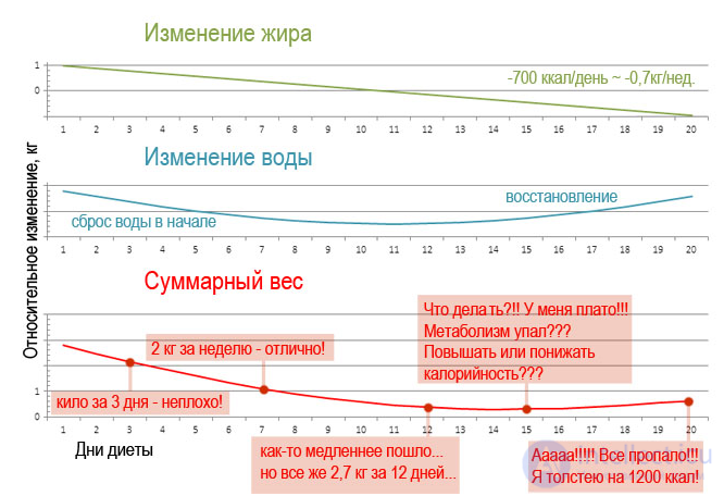 Диета и Метаболизм-  катаболизм и анаболизм  в организме, обмен белков, жиров и углеводов их классификация и функции.