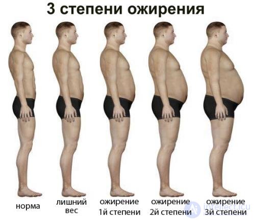 Диета и Метаболизм-  катаболизм и анаболизм  в организме, обмен белков, жиров и углеводов их классификация и функции.